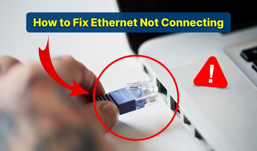 Ethernet not working, LAN connection issue, internet fix