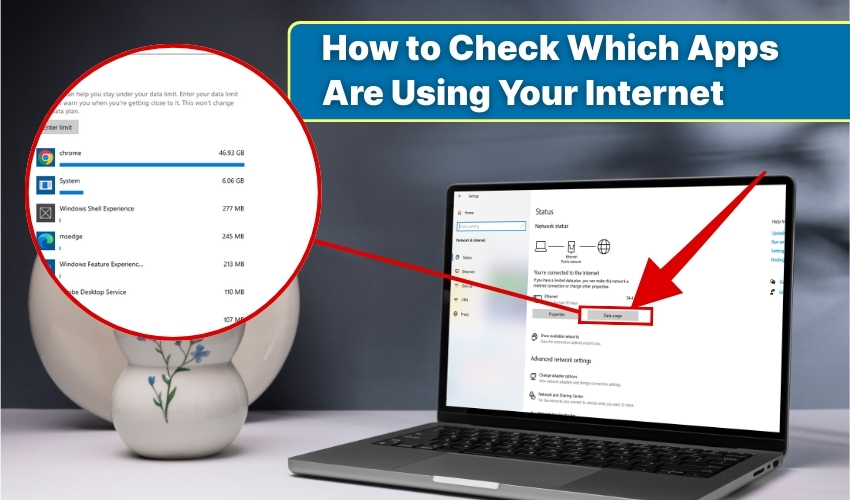 internet usage monitor, app bandwidth, data check
